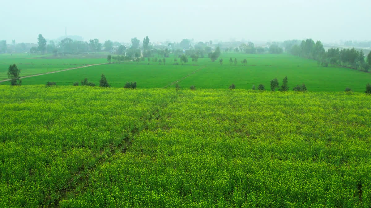 Haridwar-Laksar Highway: Temporary ban on the sale and purchase of agricultural land in 23 villages; find out why the administration took this major decision.