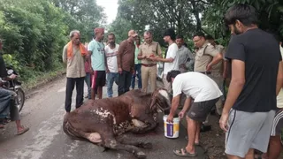 Police action and local protest during Dehradun cow cruelty case in Vikasnagar